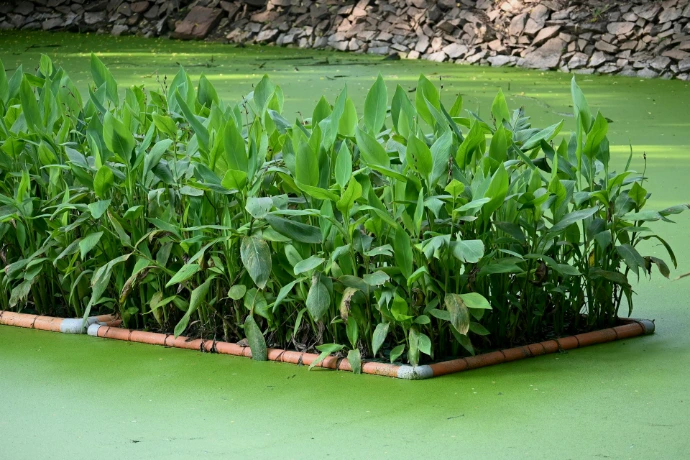 A planter filled with lots of green plants